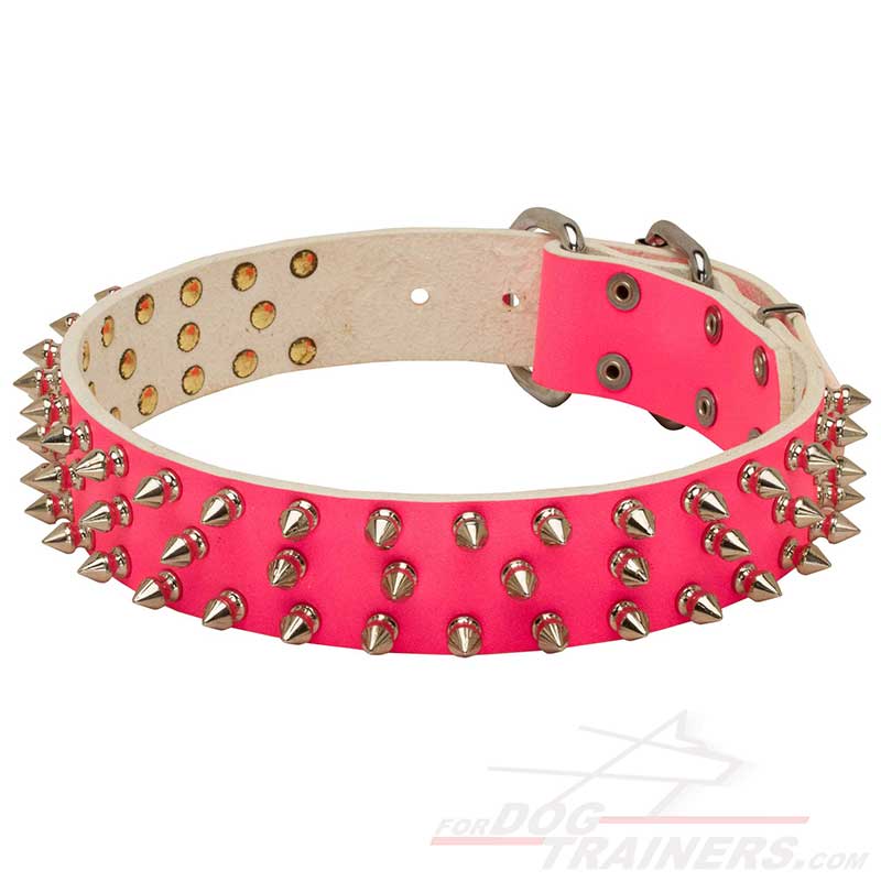hot pink spiked dog collar